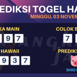 data hawaii 2019, prediksi hawaii hari ini 2019, keluaran hawaii 2019, pengeluaran hawaii 2019, paito hawaii 2019