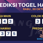 data hawaii 2019, prediksi hawaii hari ini 2019, keluaran hawaii 2019, pengeluaran hawaii 2019, paito hawaii 2019