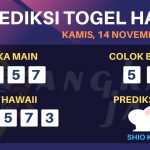 data hawaii 2019, prediksi hawaii hari ini 2019, keluaran hawaii 2019, pengeluaran hawaii 2019, paito hawaii 2019