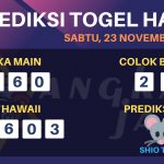 data hawaii 2019, prediksi hawaii hari ini 2019, keluaran hawaii 2019, pengeluaran hawaii 2019, paito hawaii 2019