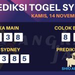 data sydney 2019, prediksi sydney hari ini 2019, keluaran sydney 2019, pengeluaran sydney 2019, paito sydney 2019