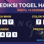 data hawaii 2019, prediksi hawaii hari ini 2019, keluaran hawaii 2019, pengeluaran hawaii 2019, paito hawaii 2019