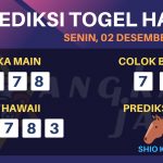 data hawaii 2019, prediksi hawaii hari ini 2019, keluaran hawaii 2019, pengeluaran hawaii 2019, paito hawaii 2019