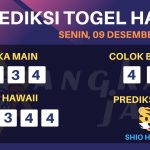 data hawaii 2019, prediksi hawaii hari ini 2019, keluaran hawaii 2019, pengeluaran hawaii 2019, paito hawaii 2019