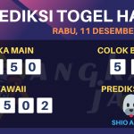 data hawaii 2019, prediksi hawaii hari ini 2019, keluaran hawaii 2019, pengeluaran hawaii 2019, paito hawaii 2019