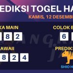 data hawaii 2019, prediksi hawaii hari ini 2019, keluaran hawaii 2019, pengeluaran hawaii 2019, paito hawaii 2019