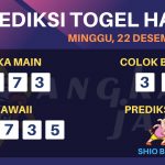 data hawaii 2019, prediksi hawaii hari ini 2019, keluaran hawaii 2019, pengeluaran hawaii 2019, paito hawaii 2019