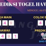 data hawaii 2020, prediksi hawaii hari ini 2020, keluaran hawaii 2020, pengeluaran hawaii 2020, paito hawaii 2020