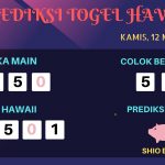 data hawaii 2020, prediksi hawaii hari ini 2020, keluaran hawaii 2020, pengeluaran hawaii 2020, paito hawaii 2020