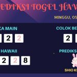 data hawaii 2020, prediksi hawaii hari ini 2020, keluaran hawaii 2020, pengeluaran hawaii 2020, paito hawaii 2020