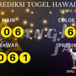 data hawaii 2020, prediksi hawaii hari ini 2020, keluaran hawaii 2020, pengeluaran hawaii 2020, paito hawaii 2020