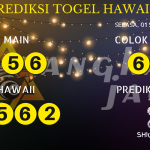 data hawaii 2020, prediksi hawaii hari ini 2020, keluaran hawaii 2020, pengeluaran hawaii 2020, paito hawaii 2020