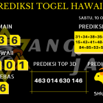 data hawaii 2020, prediksi hawaii hari ini 2020, keluaran hawaii 2020, pengeluaran hawaii 2020, paito hawaii 2020