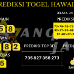 data hawaii 2020, prediksi hawaii hari ini 2020, keluaran hawaii 2020, pengeluaran hawaii 2020, paito hawaii 2020