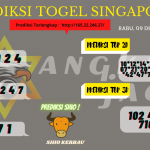 data singapore 2020, prediksi singapore hari ini 2020, keluaran singapore 2020, pengeluaran singapore 2020, paito singapore 2020