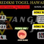 data hawaii 2021, prediksi hawaii hari ini 2021, keluaran hawaii 2021, pengeluaran hawaii 2021, paito hawaii 2021