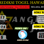 data hawaii 2021, prediksi hawaii hari ini 2021, keluaran hawaii 2021, pengeluaran hawaii 2021, paito hawaii 2021