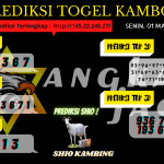 data Kamboja 2021, prediksi Kamboja hari ini 2021, keluaran Kamboja 2021, pengeluaran Kamboja 2021, paito Kamboja 2021