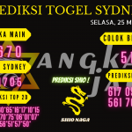 data sydney 2021, prediksi sydney hari ini 2021, keluaran sydney 2021, pengeluaran sydney 2021, paito sydney 2021