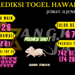 data hawaii 2021, prediksi hawaii hari ini 2021, keluaran hawaii 2021, pengeluaran hawaii 2021, paito hawaii 2021