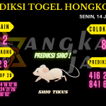 data hongkong 2021, prediksi hongkong hari ini 2021, keluaran hongkong 2021, pengeluaran hongkong 2021, paito hongkong 2021