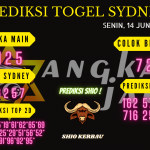 data sydney 2021, prediksi sydney hari ini 2021, keluaran sydney 2021, pengeluaran sydney 2021, paito sydney 2021