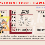 data hawaii 2021, prediksi hawaii hari ini 2021, keluaran hawaii 2021, pengeluaran hawaii 2021, paito hawaii 2021