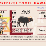 data hawaii 2021, prediksi hawaii hari ini 2021, keluaran hawaii 2021, pengeluaran hawaii 2021, paito hawaii 2021