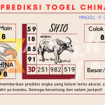 data china 2022, prediksi china hari ini 2022, keluaran china 20022, pengeluaran china 2022, paito china 2022