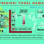 Prediksi data hawaii 2024, prediksi hawaii hari ini 2024, keluaran hawaii 2024, pengeluaran hawaii 2024, paito hawaii 2024 togel Hawaii akurat dan jitu