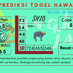 Prediksi data hawaii 2025 prediksi hawaii hari ini 2025, kelua